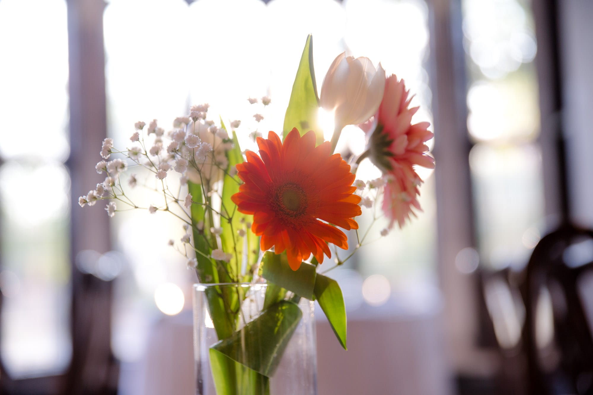 Flowers, Saturn Club, Buffalo, New York
